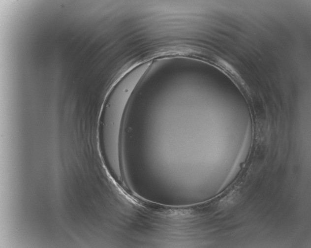 X0000063510802200602032042