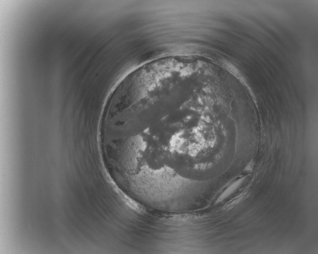 X0000063510803200602032042