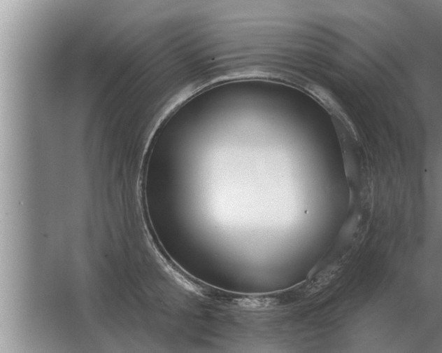 X0000063510805200602032042