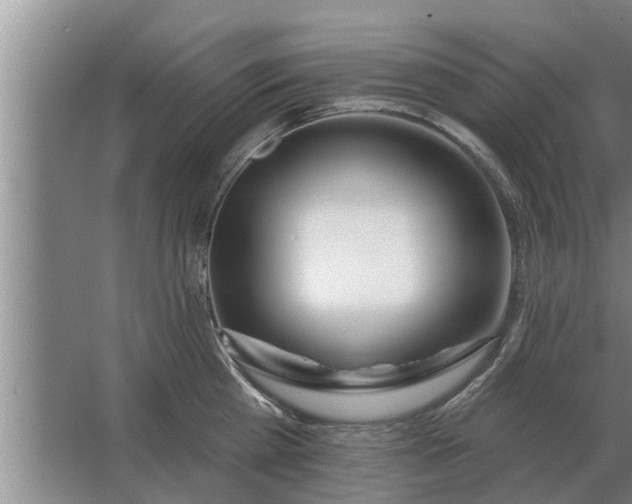 X0000063510809200602032042