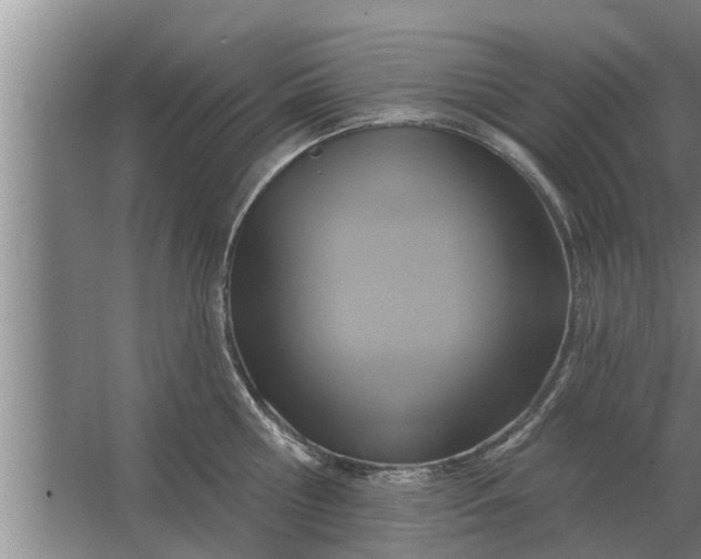 X0000063510810200602032042