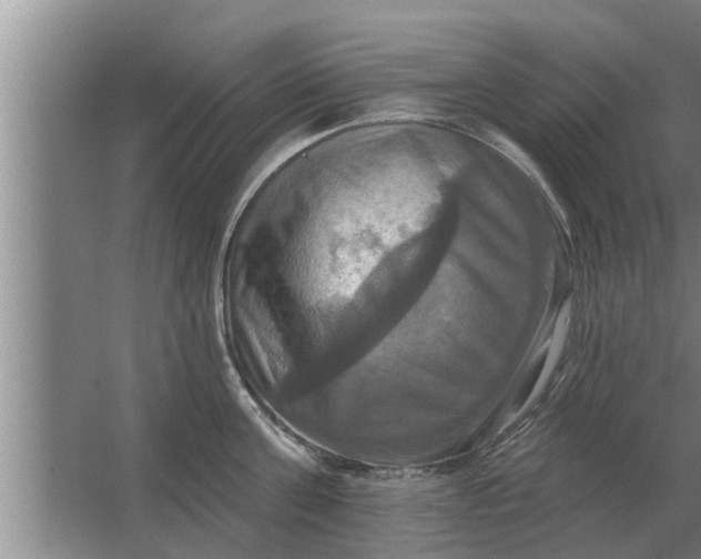 X0000063510811200602032042