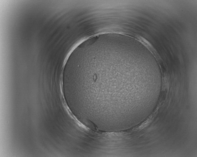 X0000063510812200602032042