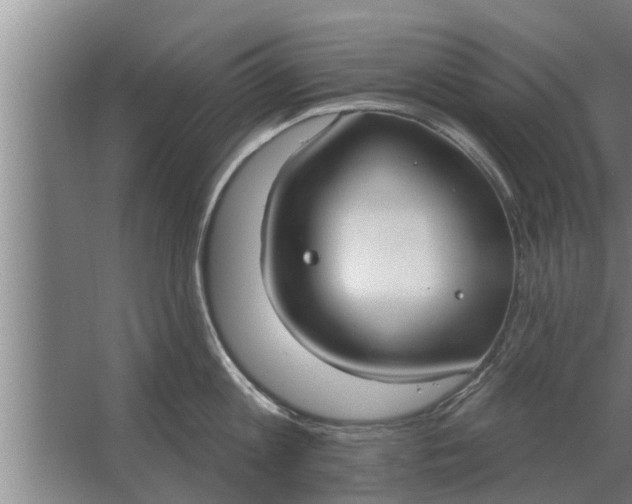 X0000063510813200602032042