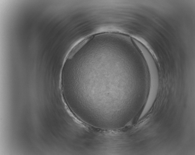 X0000063510815200602032042