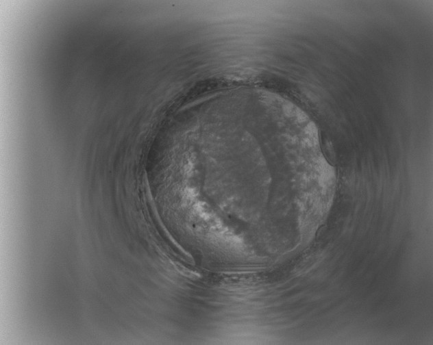 X0000063510817200602032041