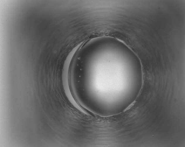 X0000063510818200602032041