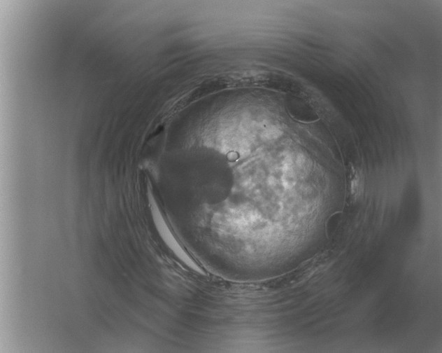 X0000063510819200602032041