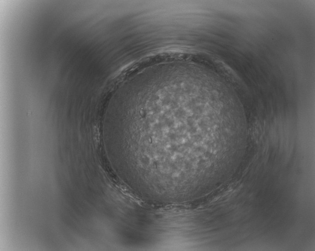 X0000063510821200602032041