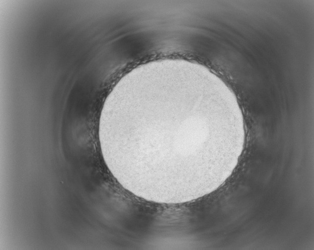 X0000063510824200602032041