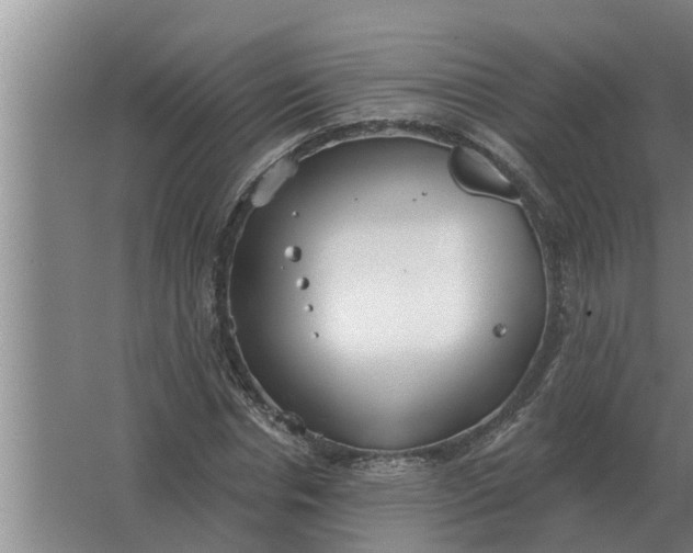 X0000063510826200602032041