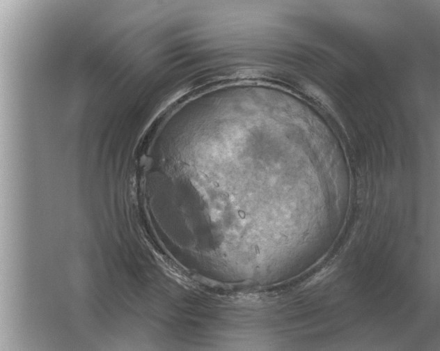 X0000063510827200602032041