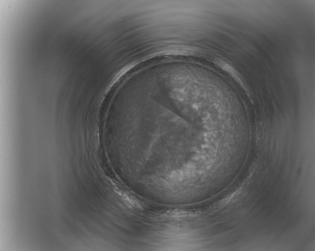 X0000063510829200602032041