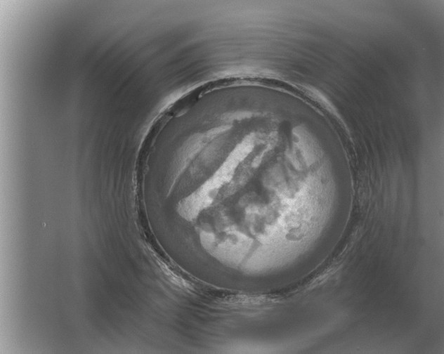 X0000063510831200602032041