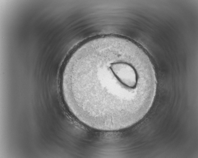 X0000063510832200602032041