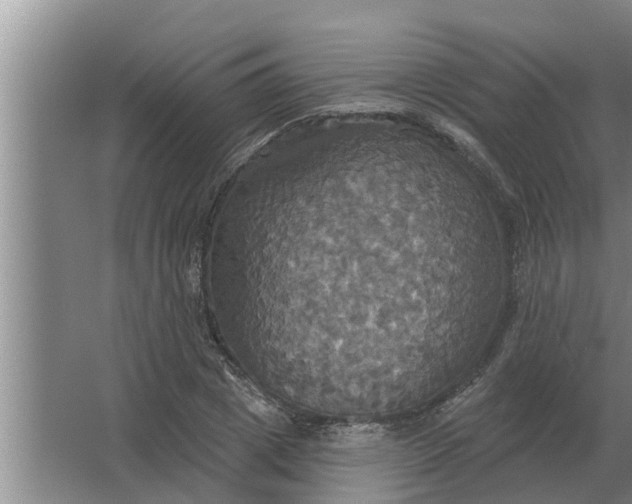 X0000063510833200602032041