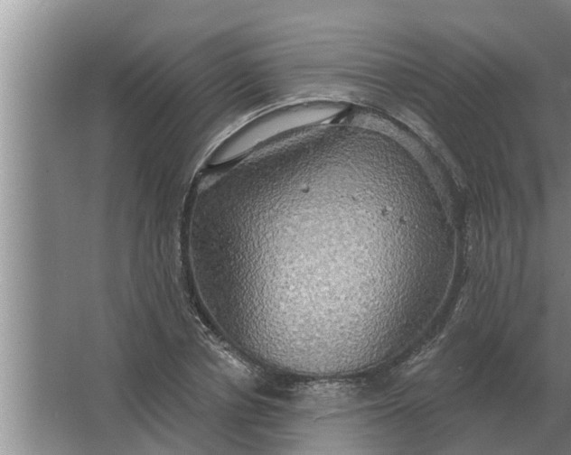 X0000063510834200602032041