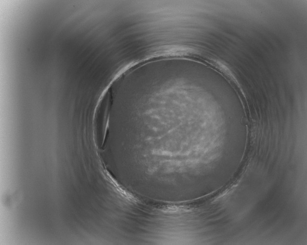 X0000063510835200602032041