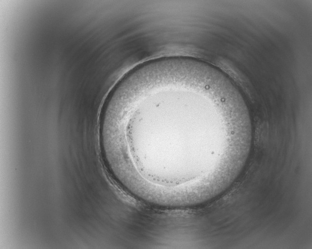 X0000063510836200602032041