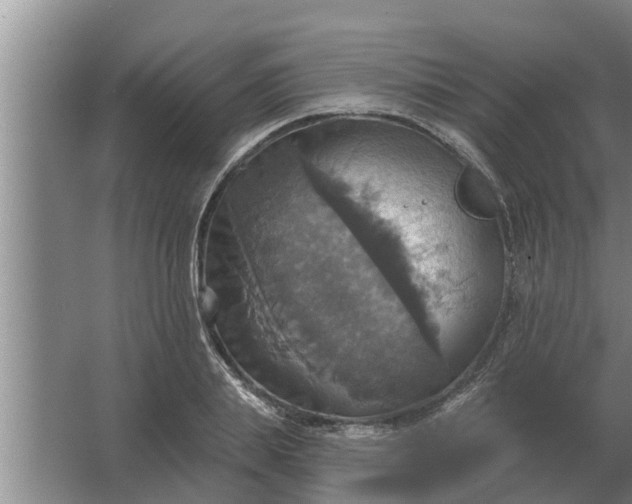 X0000063510839200602032041