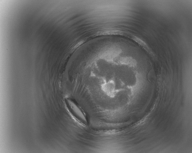 X0000063510841200602032041