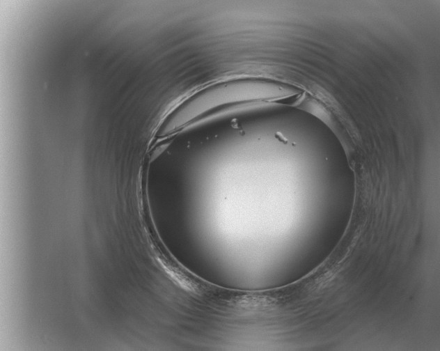 X0000063510842200602032041