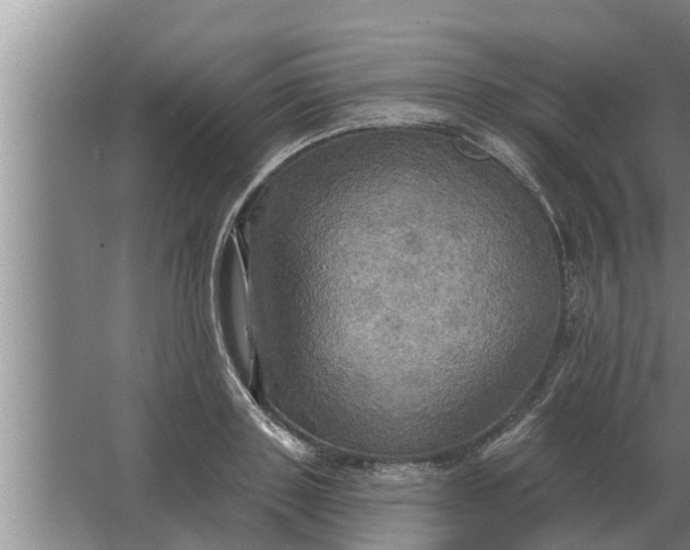 X0000063510843200602032041