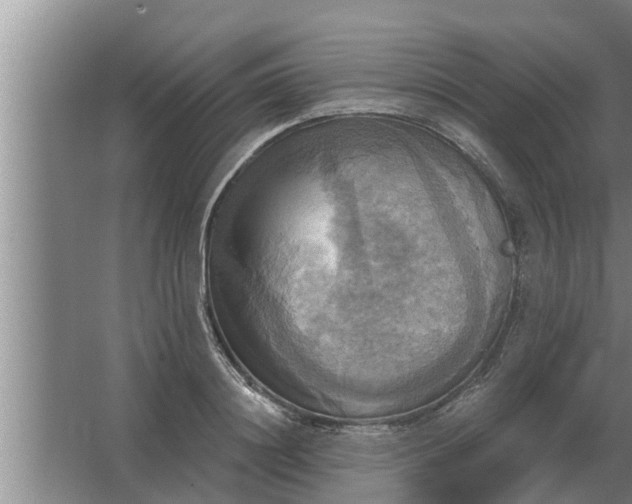 X0000063510844200602032041