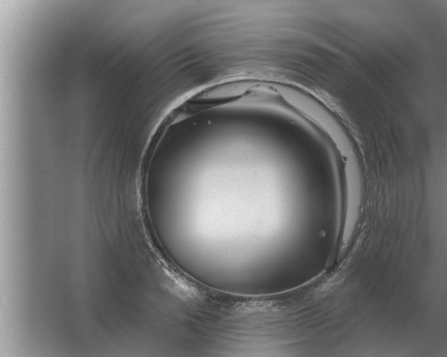 X0000063510846200602032041