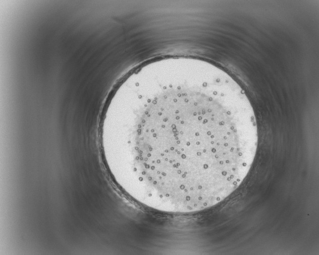 X0000063510848200602032041