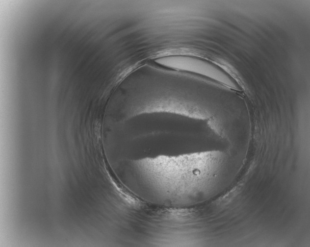 X0000063510849200602032041