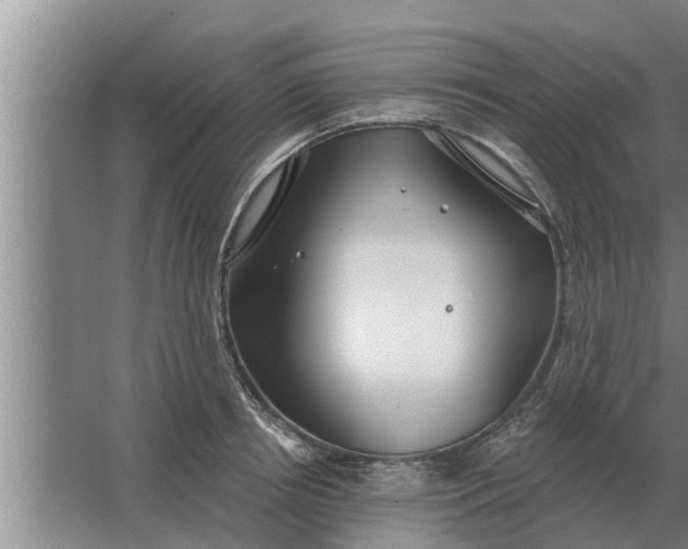 X0000063510850200602032041