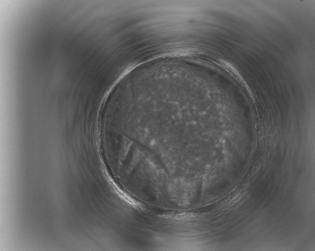 X0000063510851200602032041