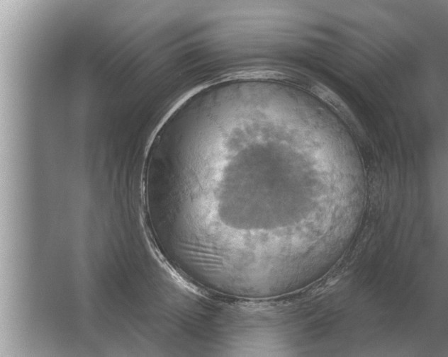 X0000063510852200602032041