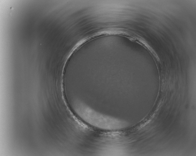 X0000063510853200602032041