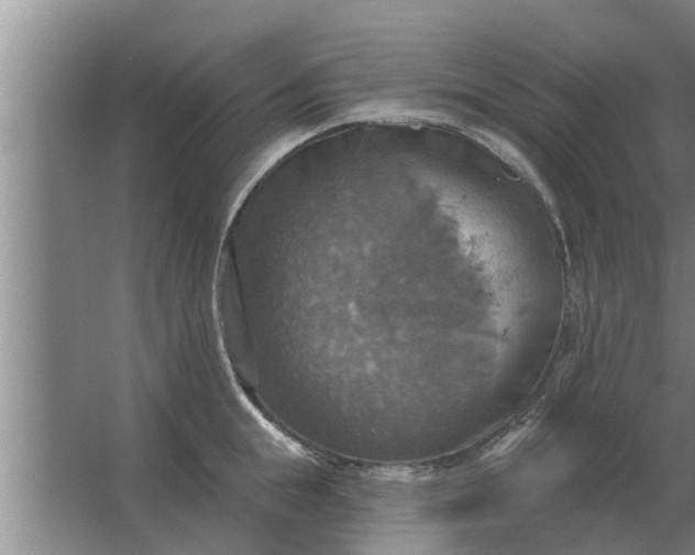 X0000063510855200602032041