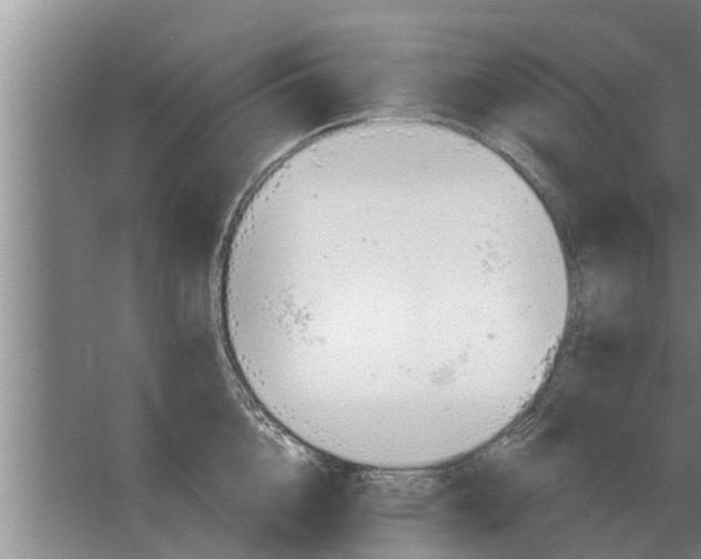 X0000063510856200602032041