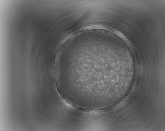 X0000063510857200602032041