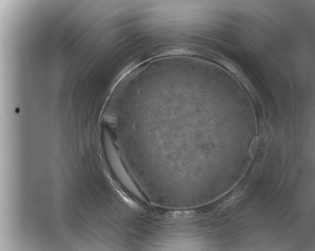 X0000063510858200602032041