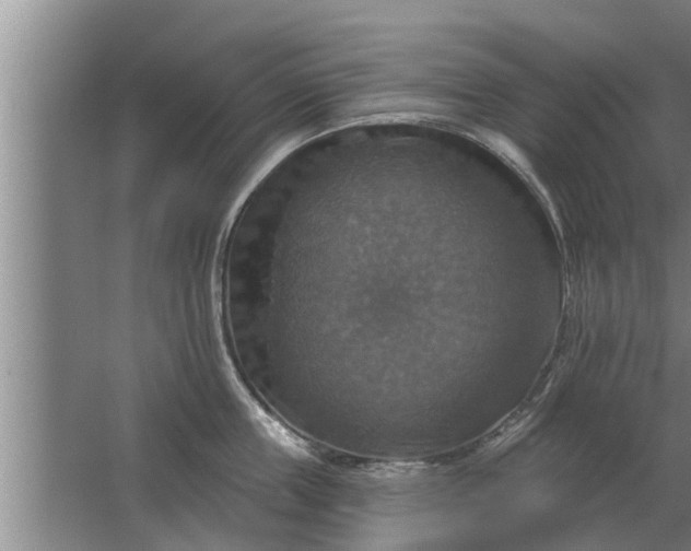 X0000063510859200602032041