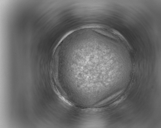 X0000063510860200602032041