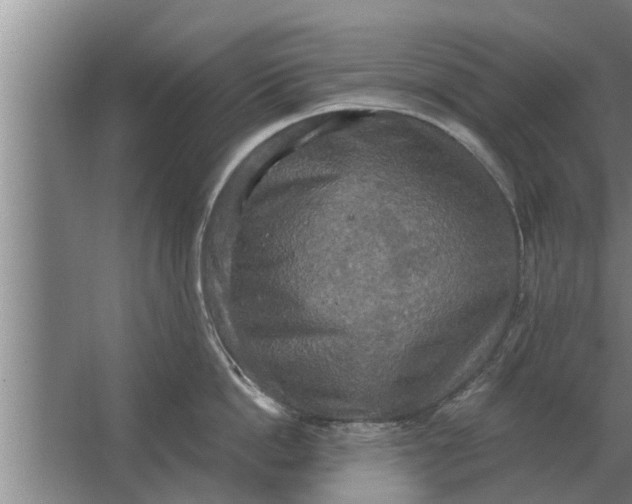 X0000063510862200602032041