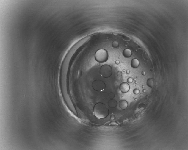 X0000063510863200602032042