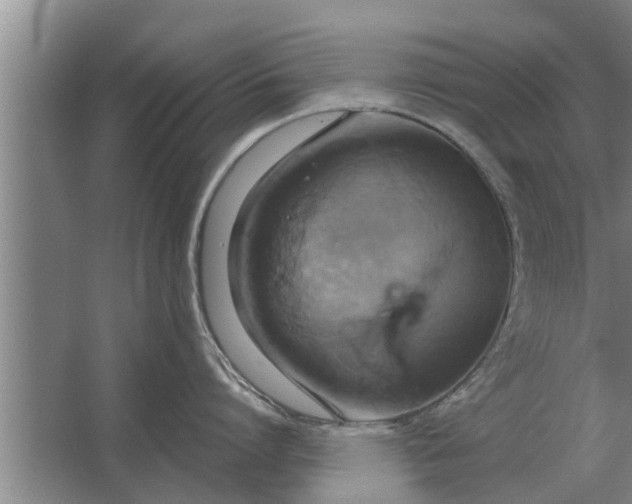 X0000063510864200602032042