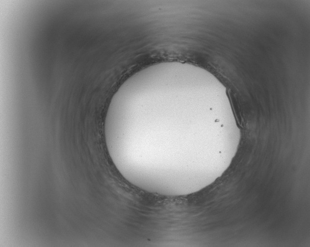 X0000063510865200602032041