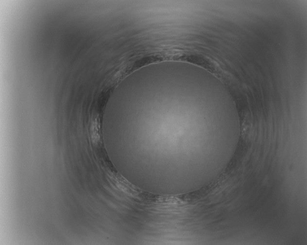 X0000063510866200602032041