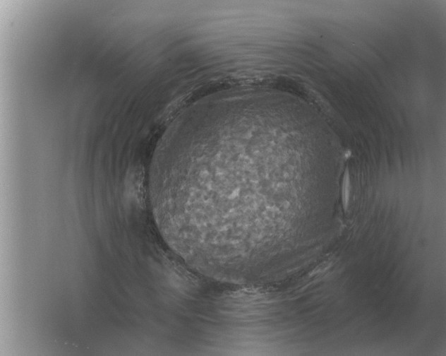 X0000063510867200602032041