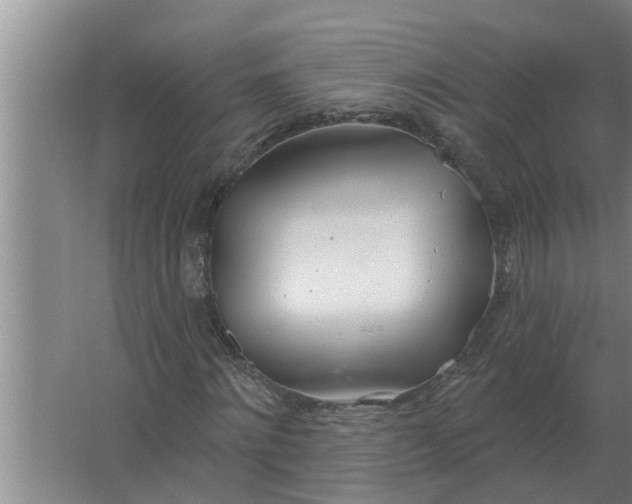 X0000063510868200602032041