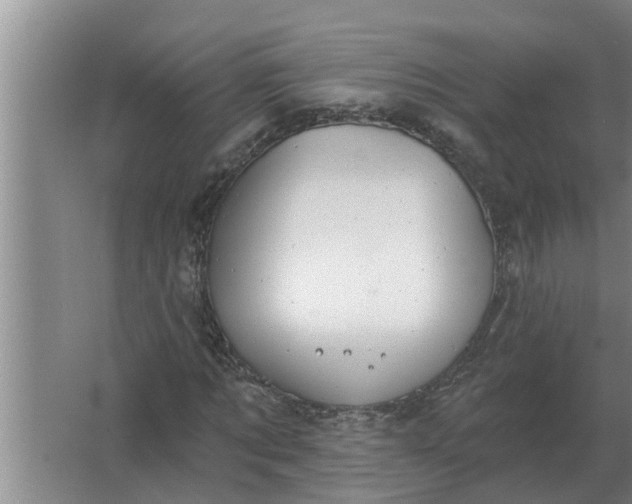 X0000063510869200602032041