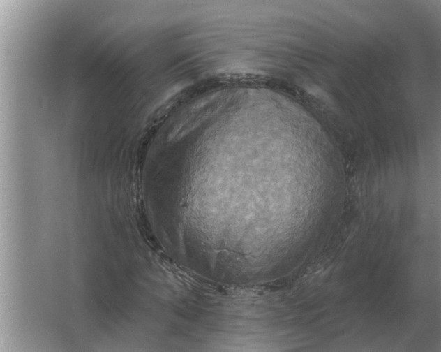 X0000063510870200602032041